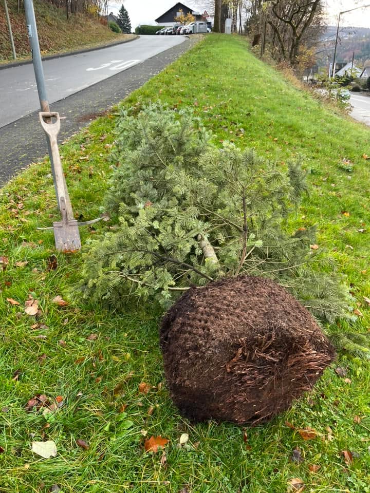 TuS Freusburg 1892 e.V.